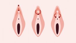 Del morbo al placer con los piercings genitales