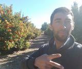 Miguel6878