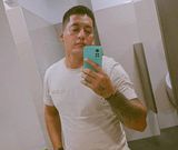 vaca0404